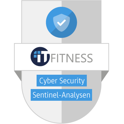 Cyber-Security-Sentinel-Analysen